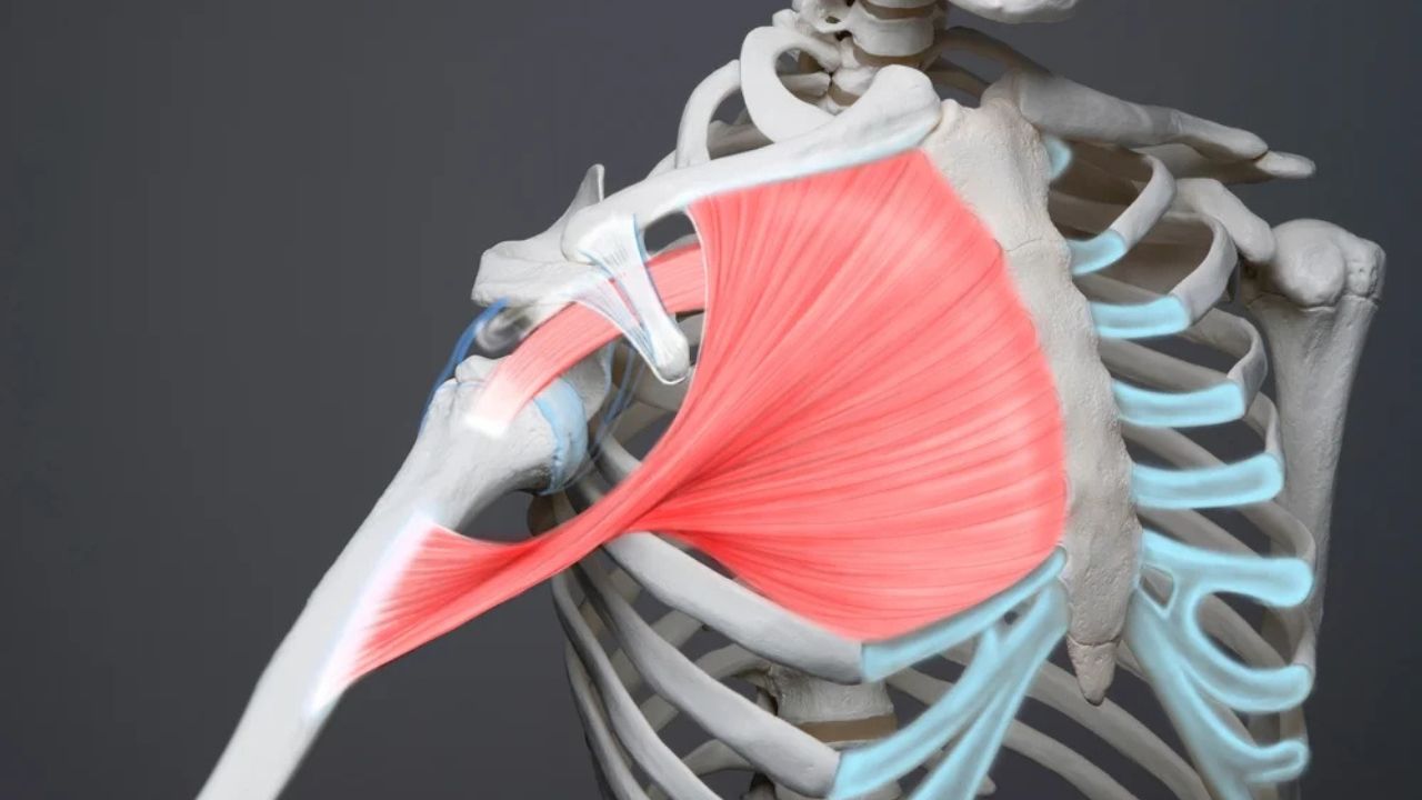 Lesão do Manguito Rotador